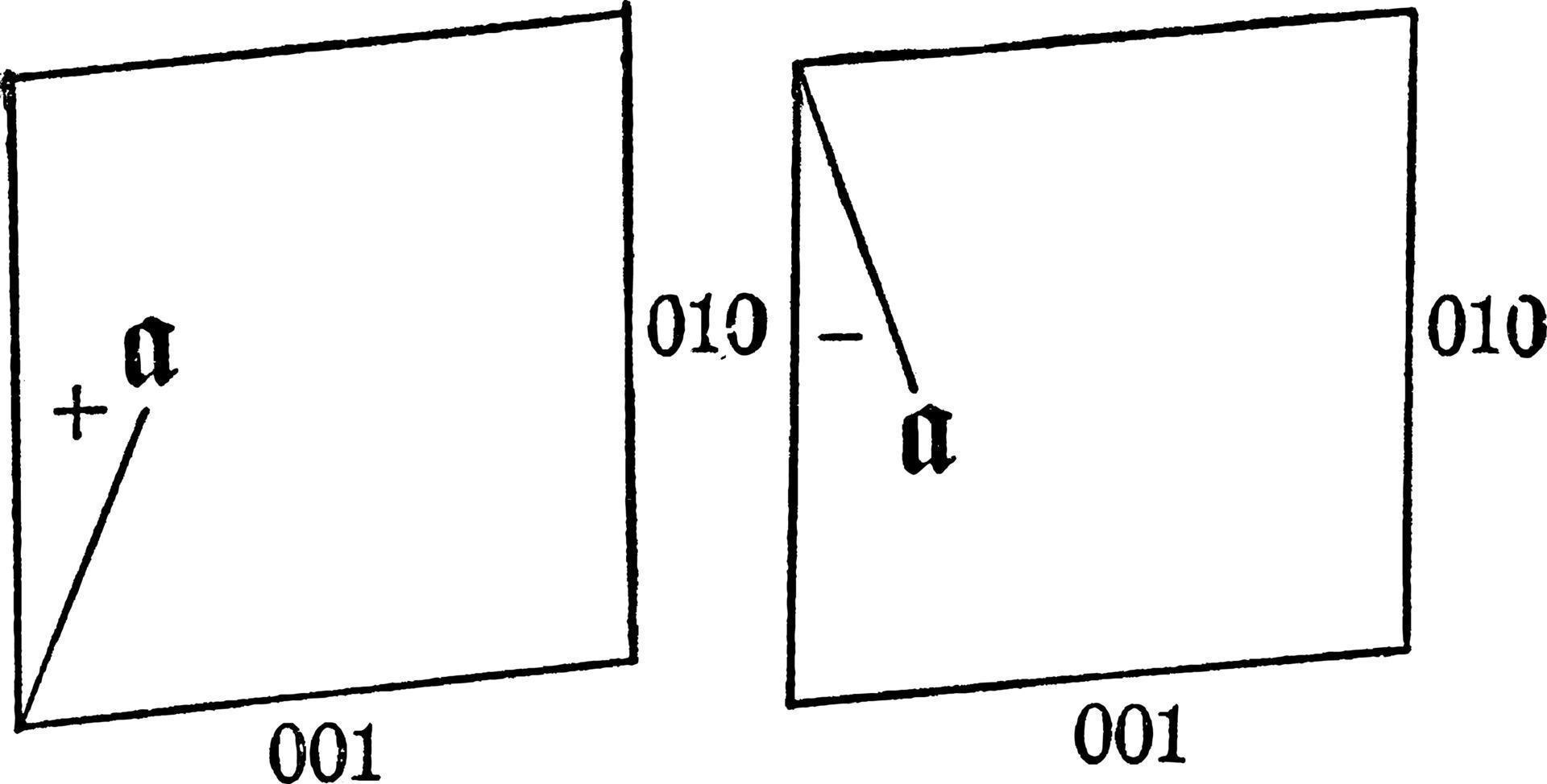 plagioklaas veldspaat, wijnoogst illustratie. vector