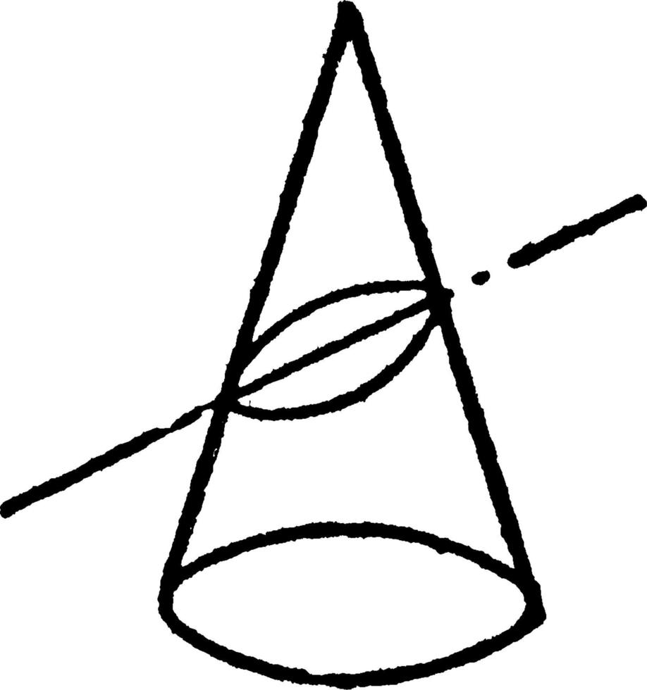 kegelsnede sectie tonen een Ovaal, wijnoogst illustratie. vector