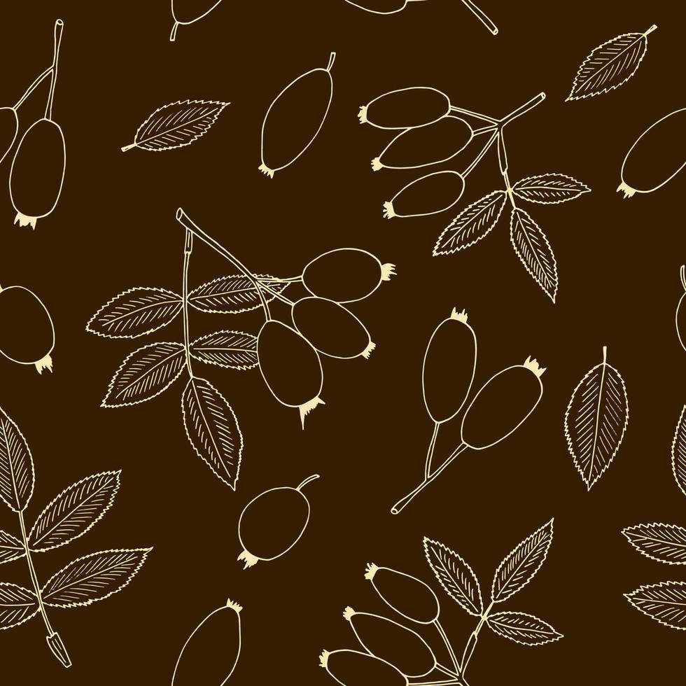 rozenbottel bessen en bladeren naadloos patroon hand- getrokken in tekening stijl. geschikt voor behang, textiel, omhulsel papier, achtergrond. schetsen, monochroom, minimalisme, Scandinavisch vector