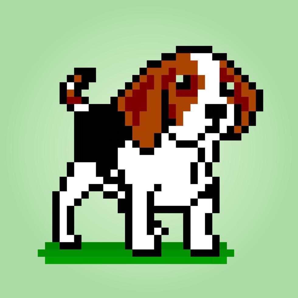 8 bits pixel van beagle honden. dieren voor activaspellen in vectorillustraties. kruissteek patroon. vector