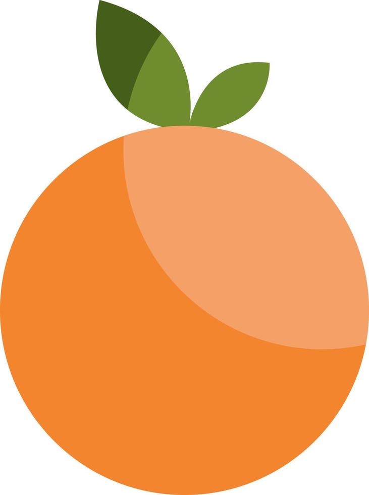 oranje de fruit, illustratie, vector Aan een wit achtergrond.