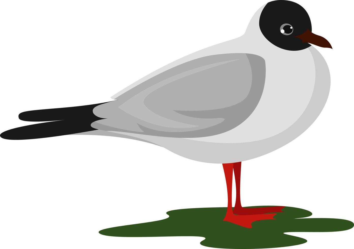 mooi vogel, illustratie, vector Aan wit achtergrond.