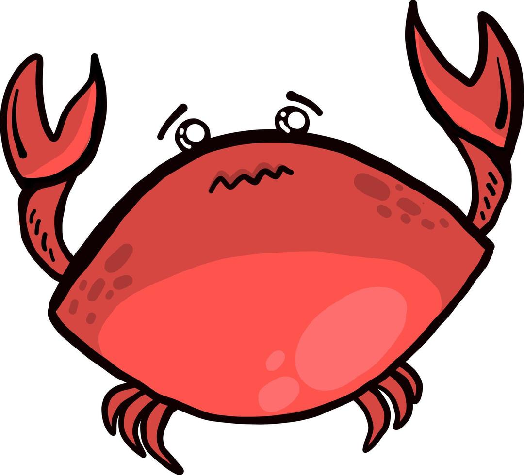 rood krab, illustratie, vector Aan wit achtergrond