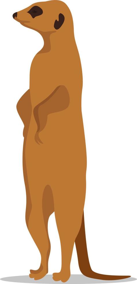 meerkat dier, illustratie, vector Aan wit achtergrond