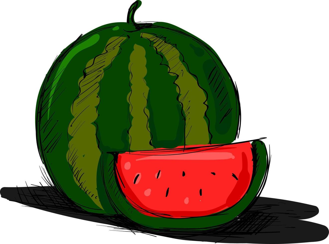 watermeloen tekening, illustratie, vector Aan wit achtergrond.