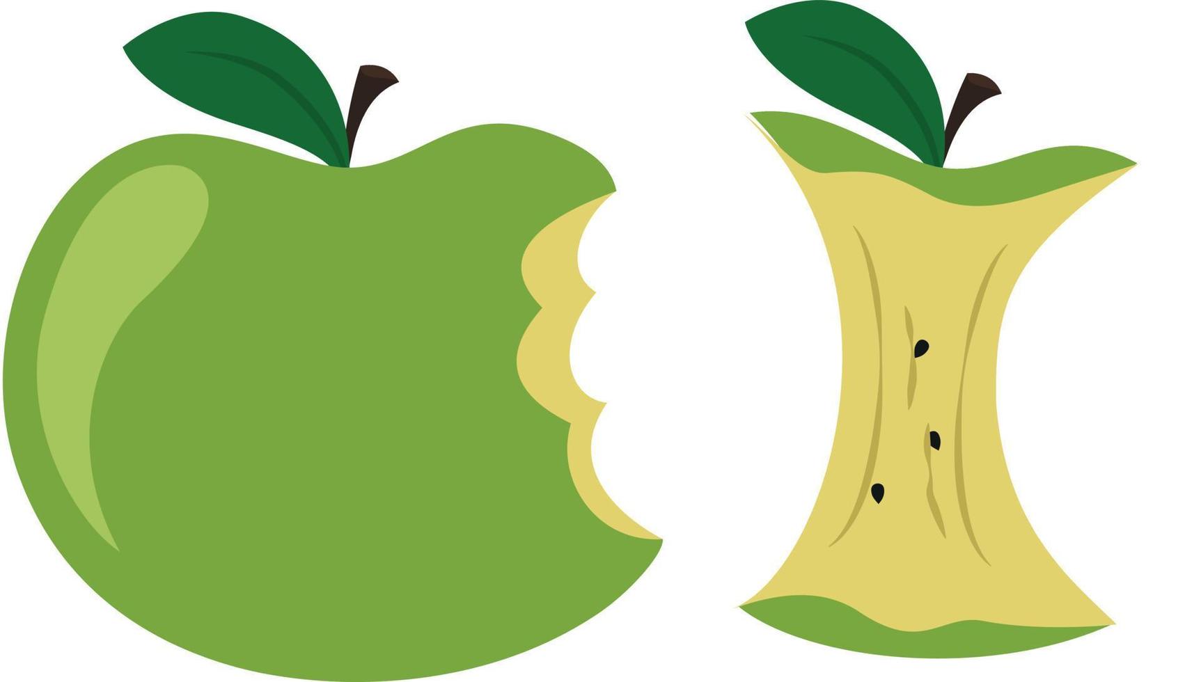 groen gebeten appel, vers sappig appel kern en kuilen vector