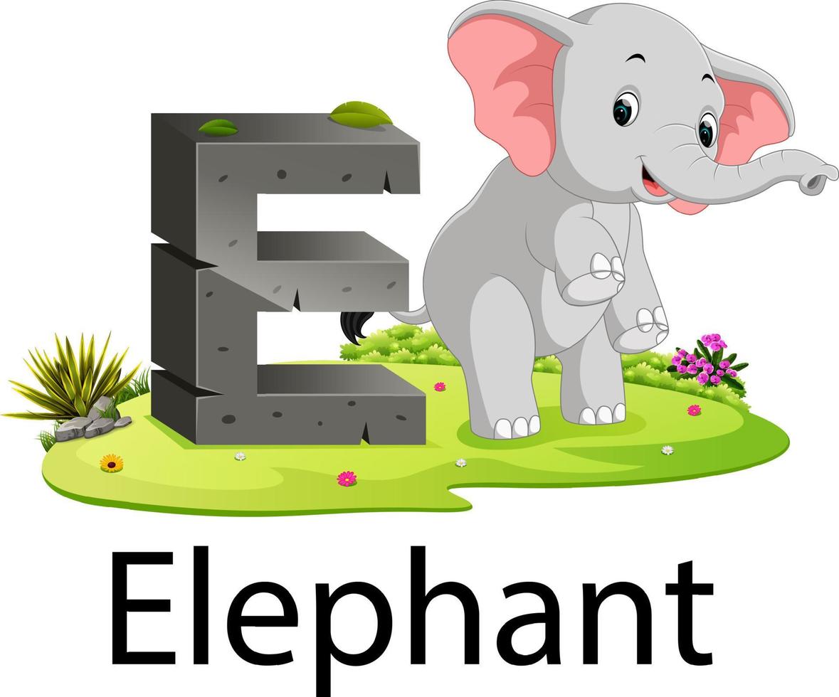 dierentuin dier alfabet e voor olifant met de dier naast vector