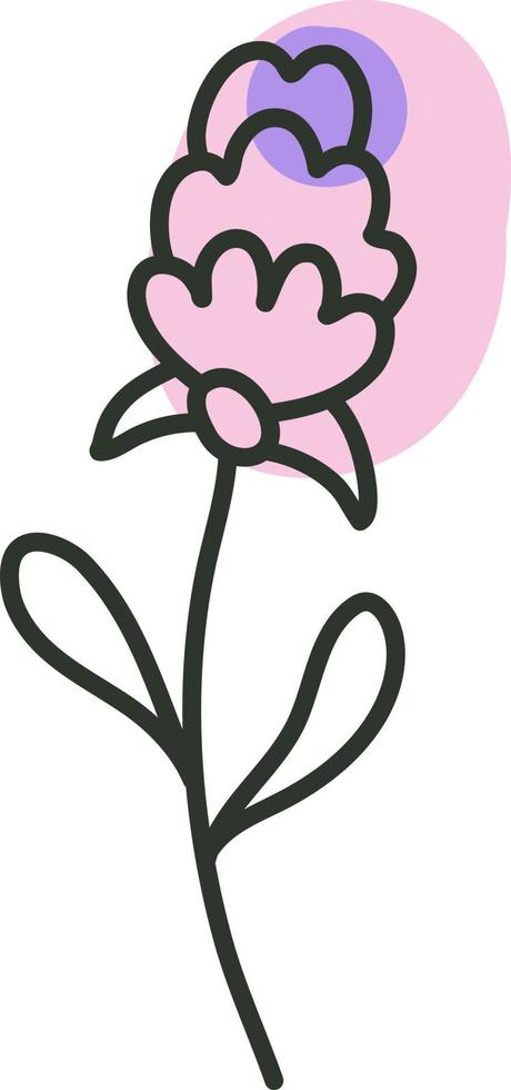 paars bloem, illustratie, vector Aan een wit achtergrond.