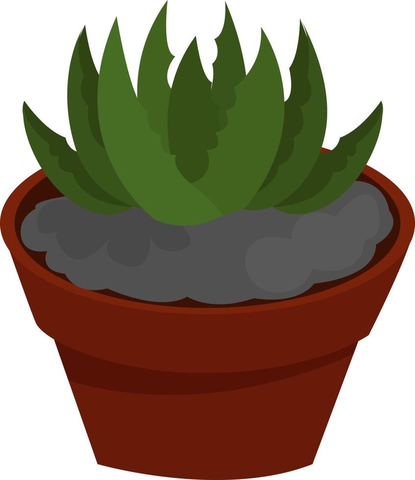aloë vera plant, illustratie, vector Aan wit achtergrond