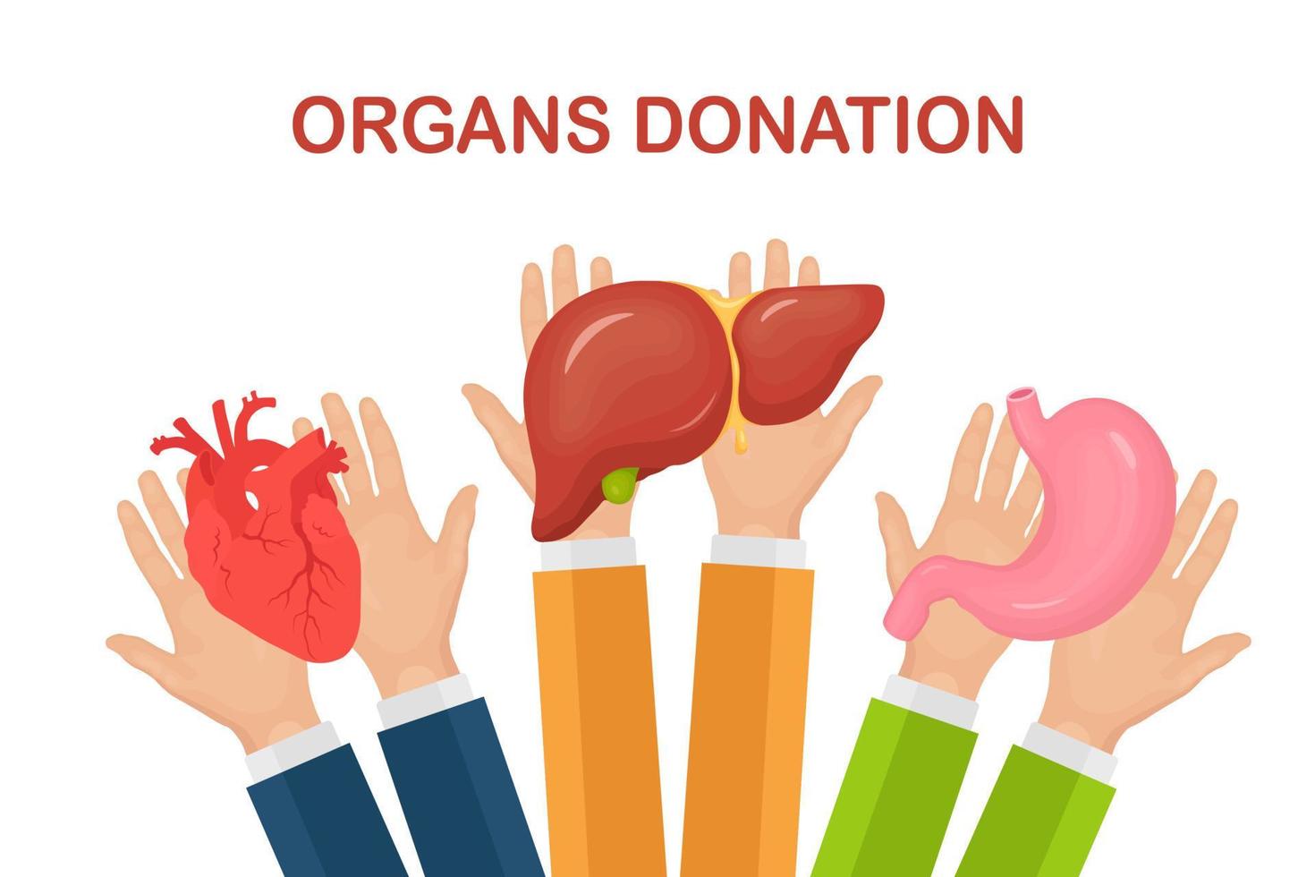 bijdrage organen. artsen handen houden schenker maag, hart, lever voor transplantatie. vrijwilliger steun vector