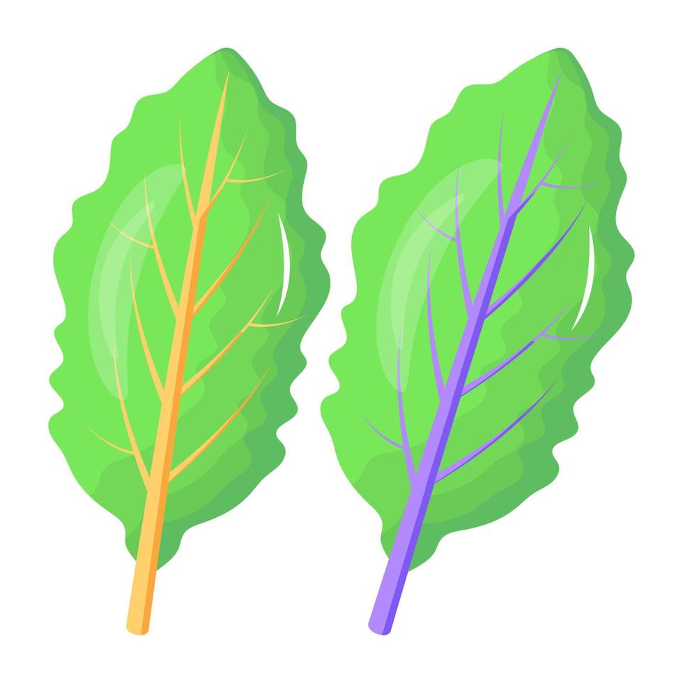 icoon van spinazie bladeren vlak ontwerp vector