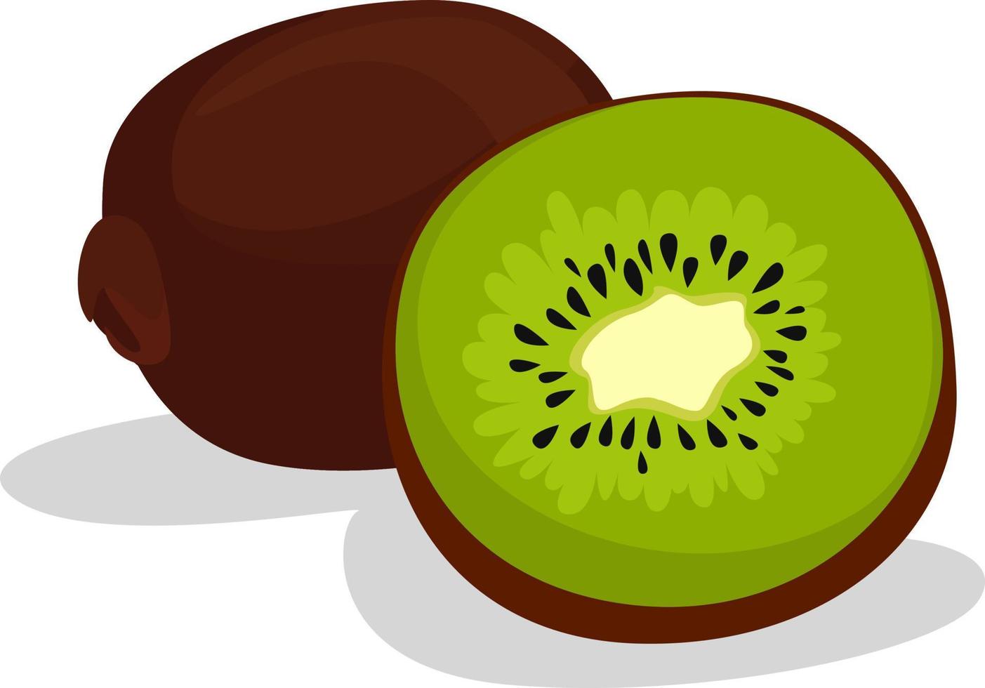 kiwi besnoeiing in voor de helft, illustratie, vector Aan wit achtergrond