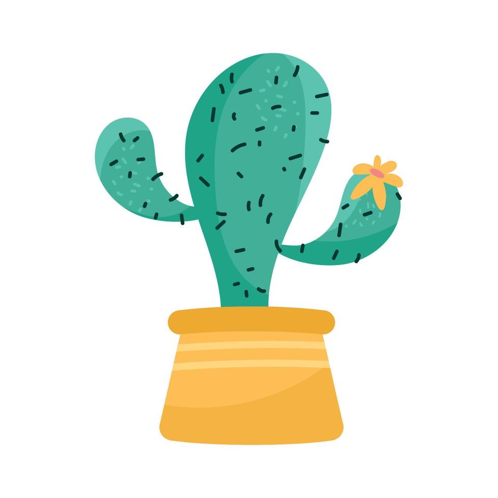 cactu kamerplant in geel pot vector