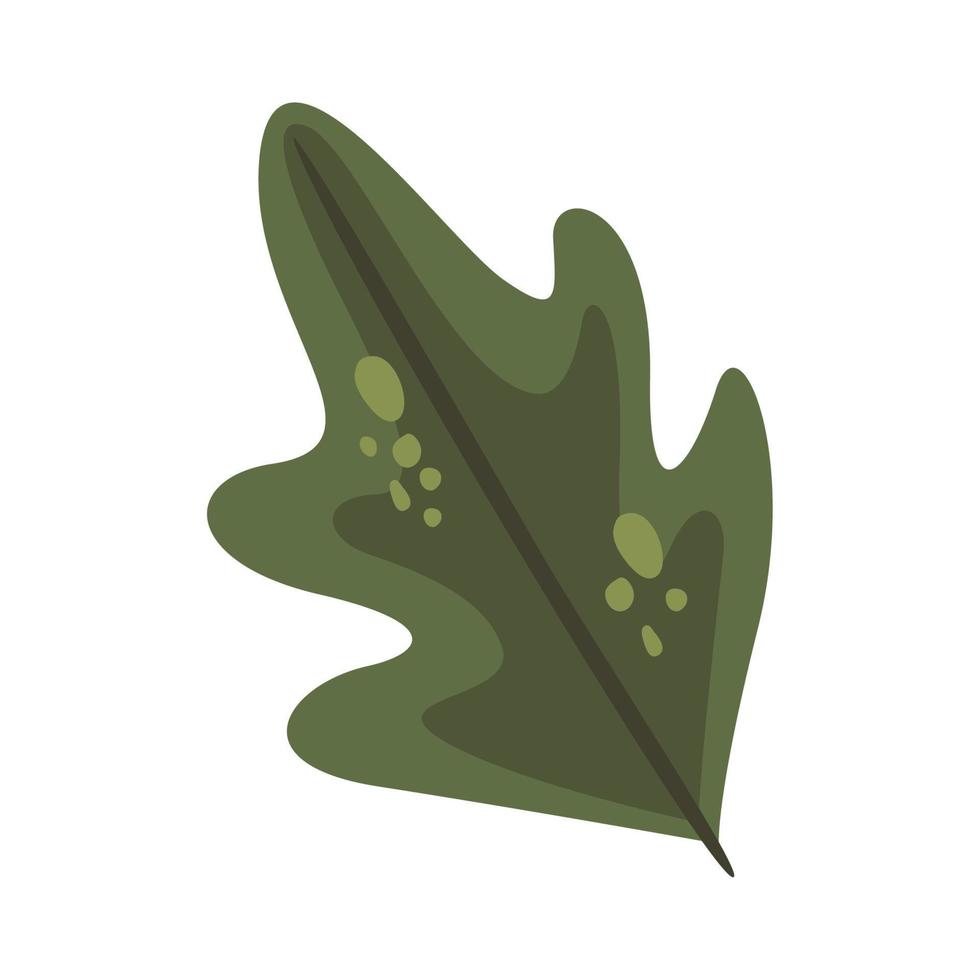 blad plant gebladerte vector