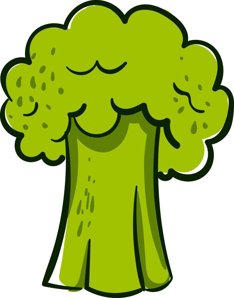 vers broccoli, illustratie, vector Aan wit achtergrond