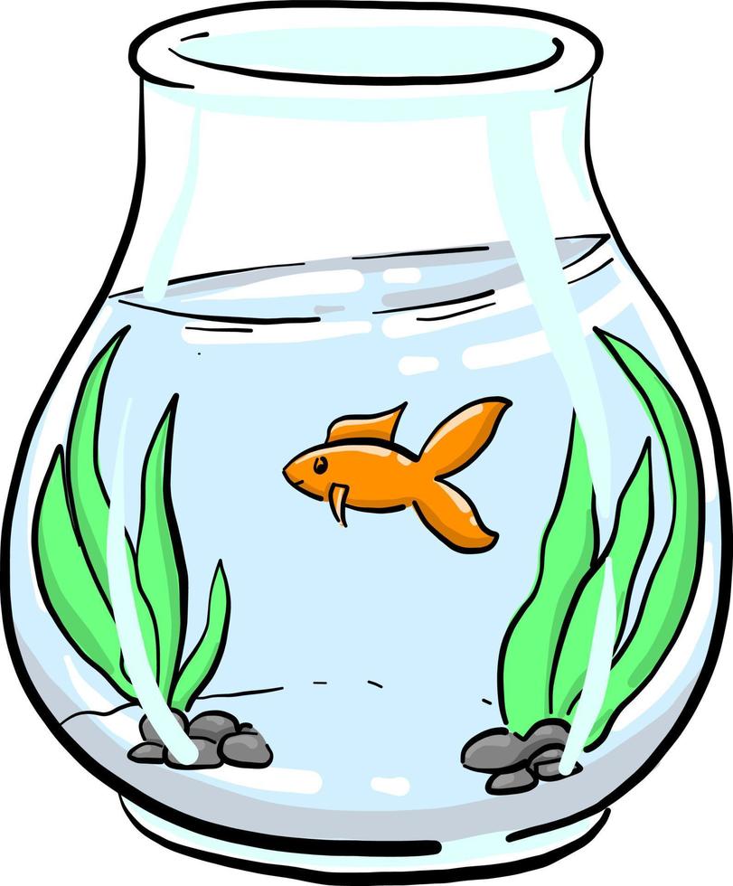 aquarium met water , illustratie, vector Aan wit achtergrond