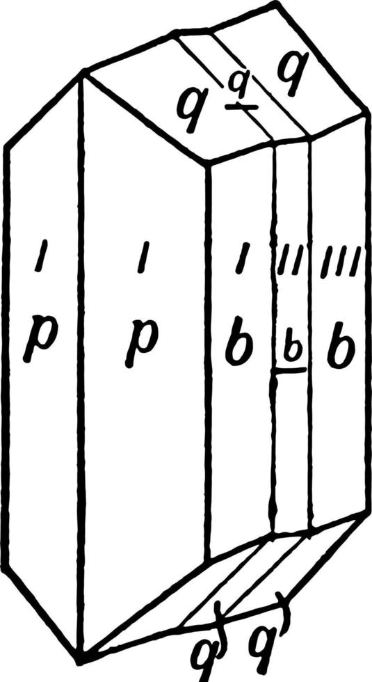 polysynthetisch Tweelingen, wijnoogst illustratie. vector