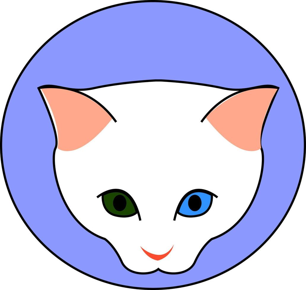 wit kat met groen en blauw oog, illustratie, vector Aan wit achtergrond.