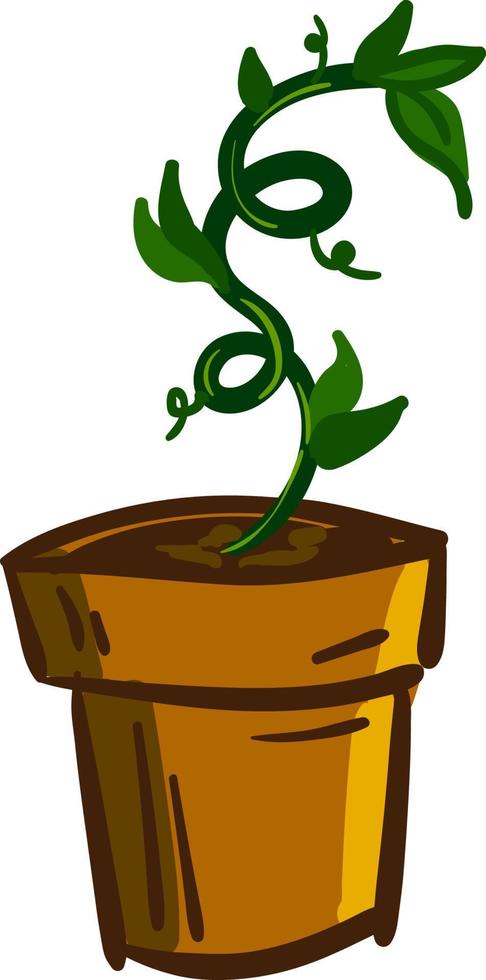 een donker groen plant, vector of kleur illustratie.