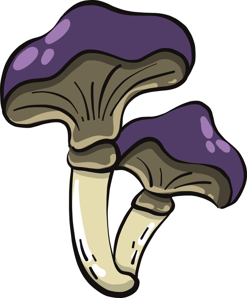 twee Purper paddestoelen, illustratie, vector Aan een wit achtergrond.