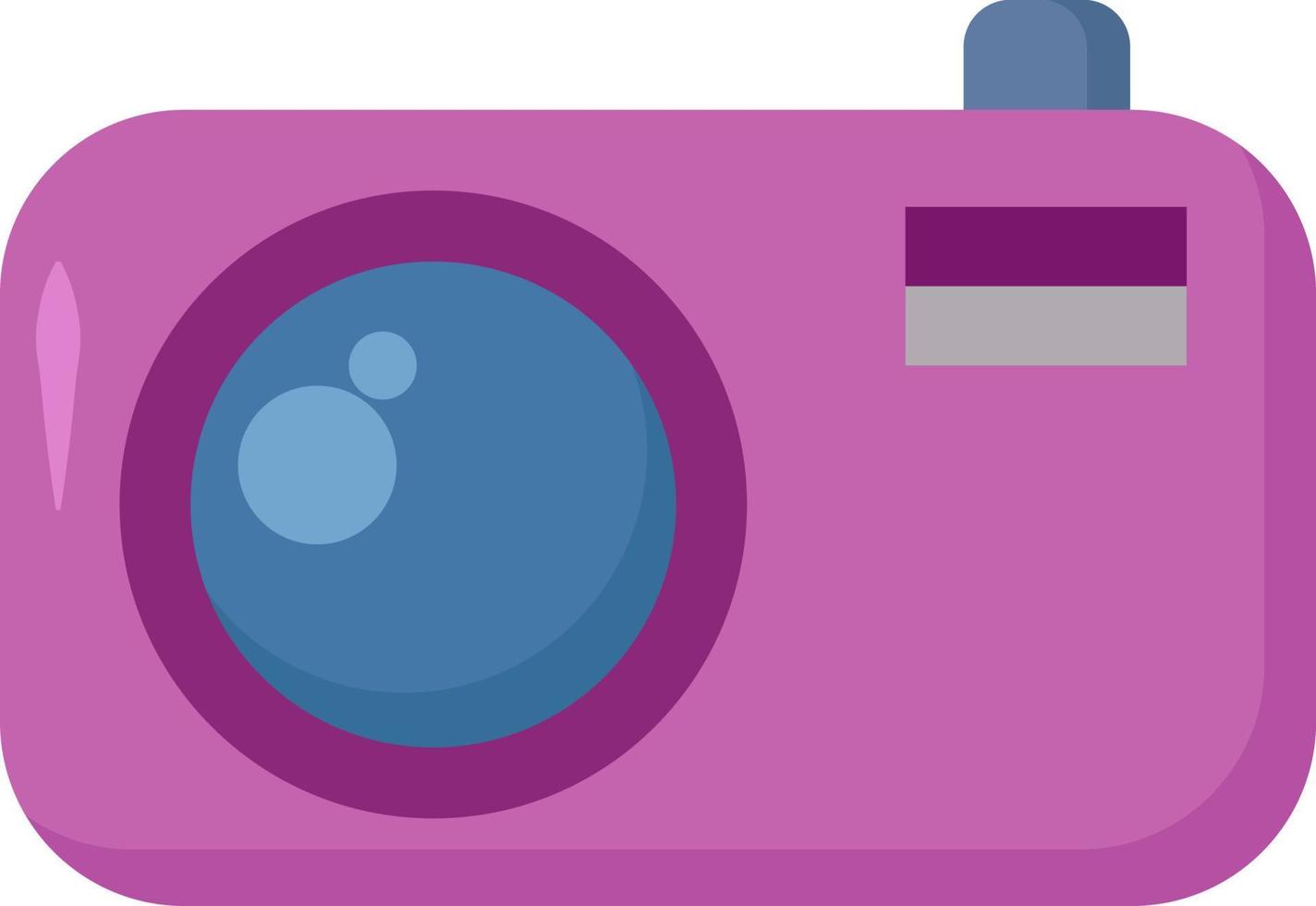 roze camera, illustratie, vector Aan wit achtergrond.