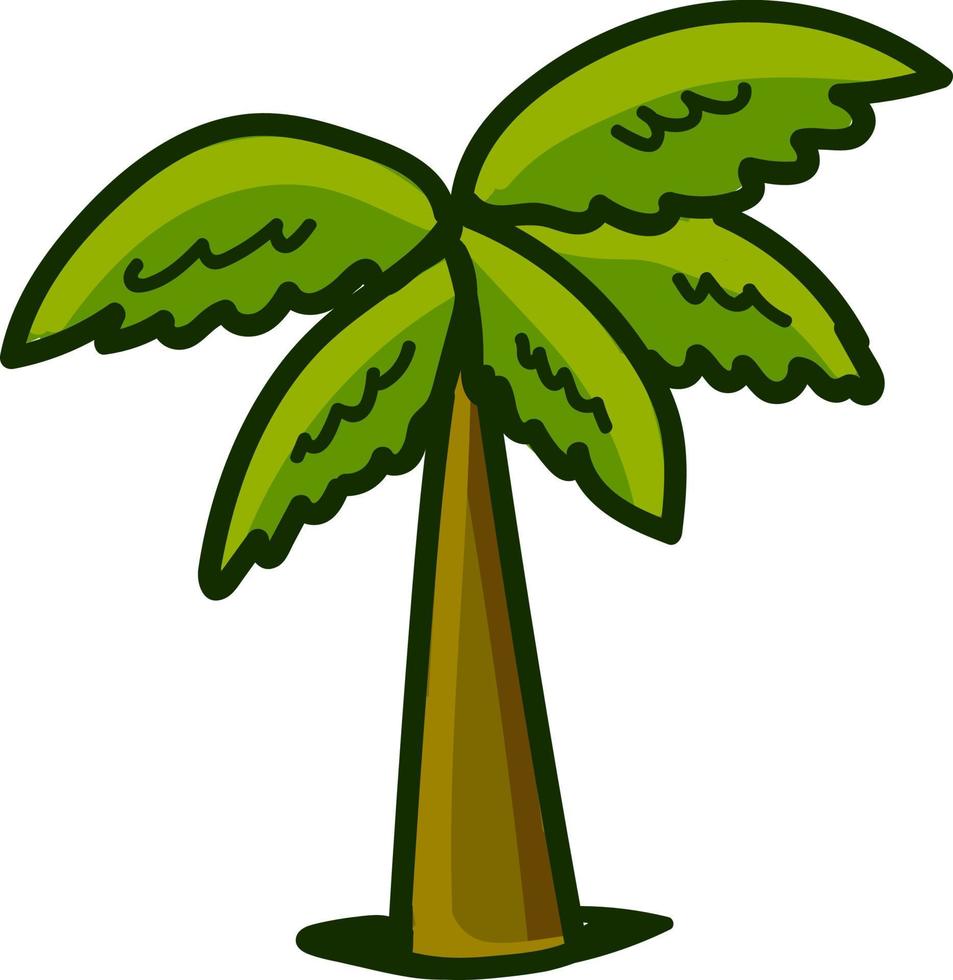palm boom, illustratie, vector Aan wit achtergrond.