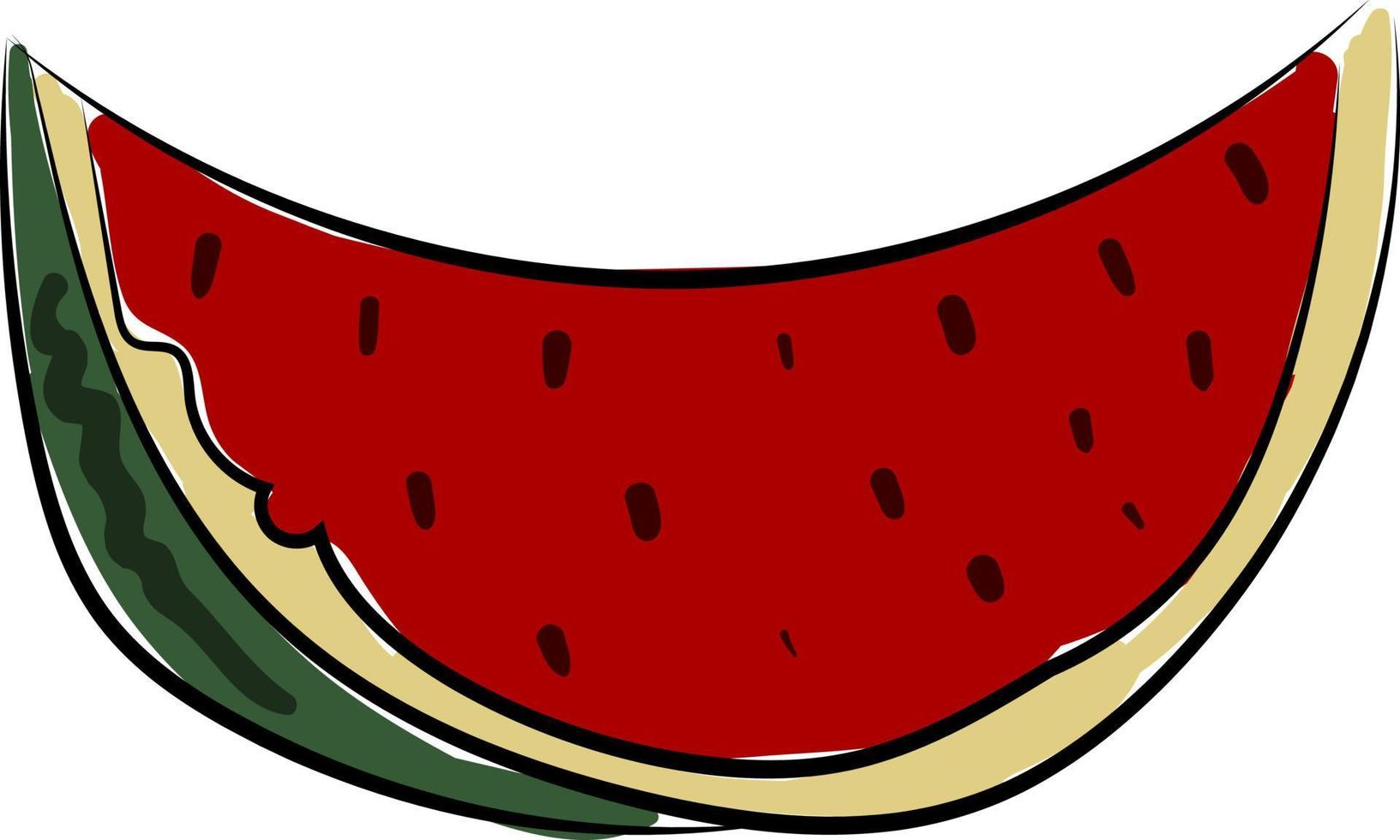 watermeloen, illustratie, vector Aan wit achtergrond.