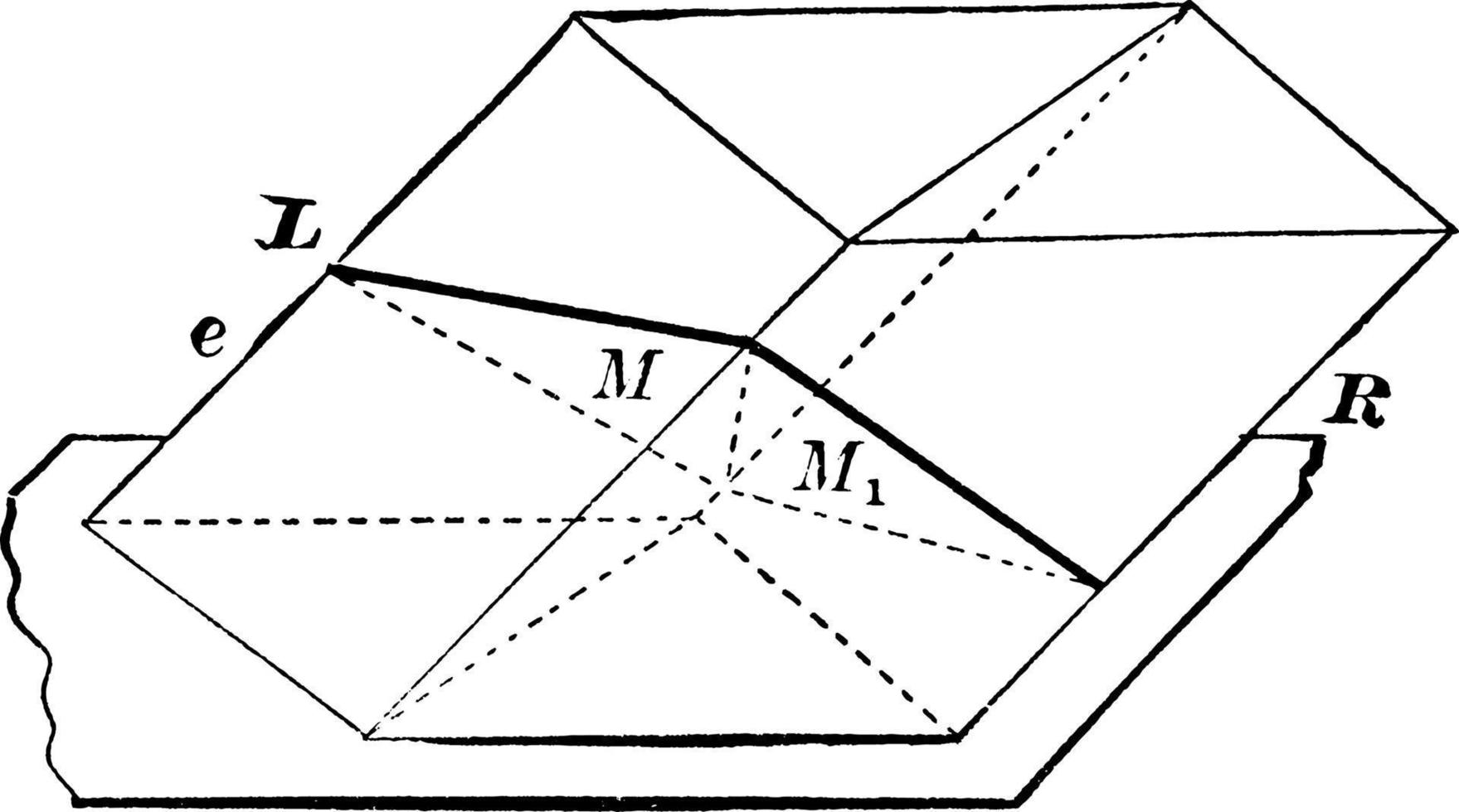 parallellepipedum, wijnoogst illustratie. vector