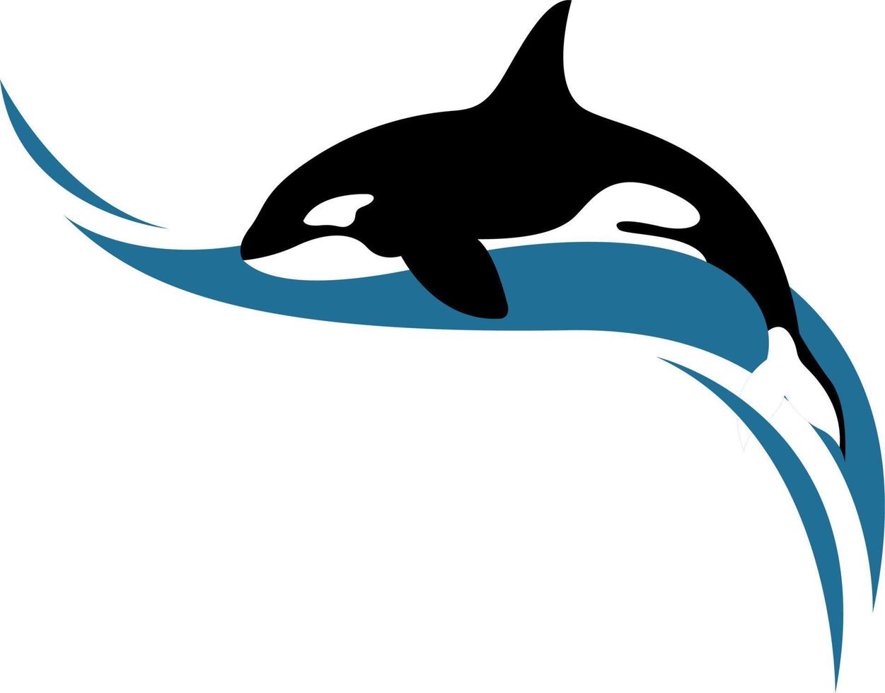 moordenaar walvis, illustratie, vector Aan wit achtergrond.