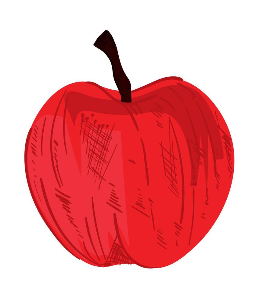 appel rood fruit vector