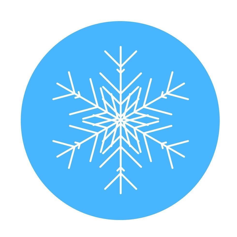 vector winter sneeuwvlok icoon. illustratie voor web