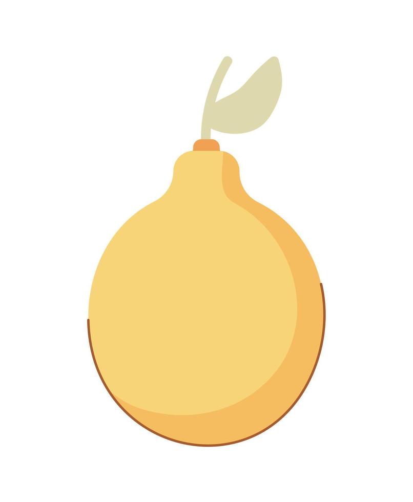 tropisch fruit sinaasappel vector