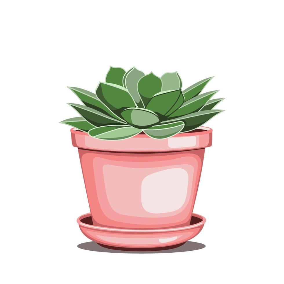 echeveria sappig in keramisch pot in vlak techniek vector