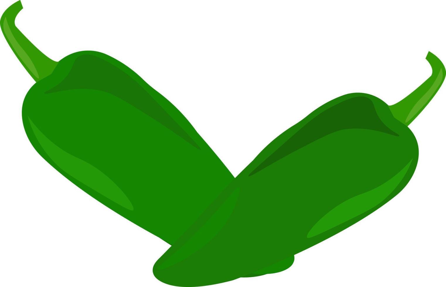 groen papper, illustratie, vector Aan wit achtergrond.