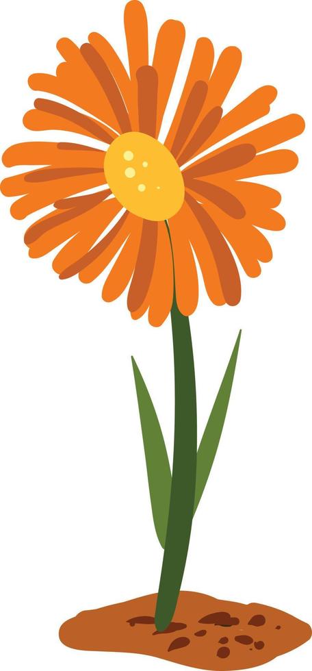 goudsbloem bloem, illustratie, vector Aan wit achtergrond.