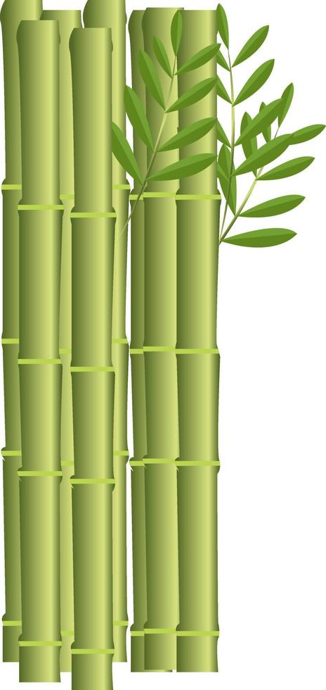 bamboe stokken, illustratie, vector Aan wit achtergrond