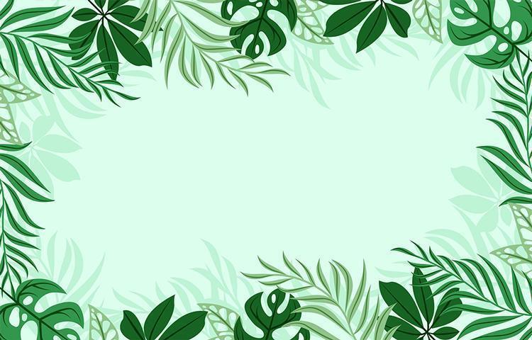 tropische groene bladeren achtergrond vector