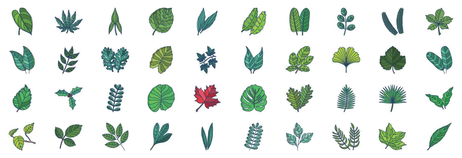 verzameling van pictogrammen verwant naar bladeren, inclusief pictogrammen Leuk vinden anthurium, aralia, aspidistra, kastanje, citrus en meer. vector illustraties, pixel perfect reeks