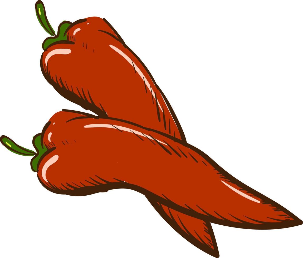 pittig rood peper, vector of kleur illustratie.