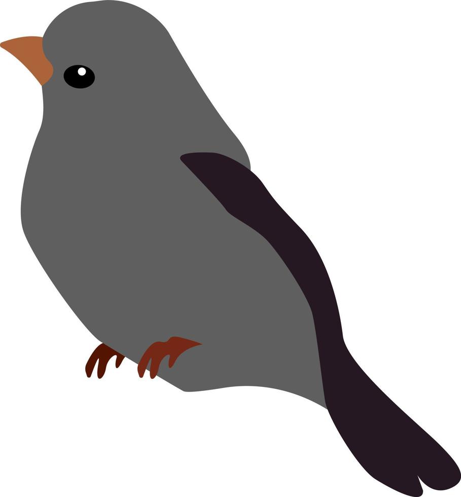 grijs vogel, illustratie, vector Aan wit achtergrond.