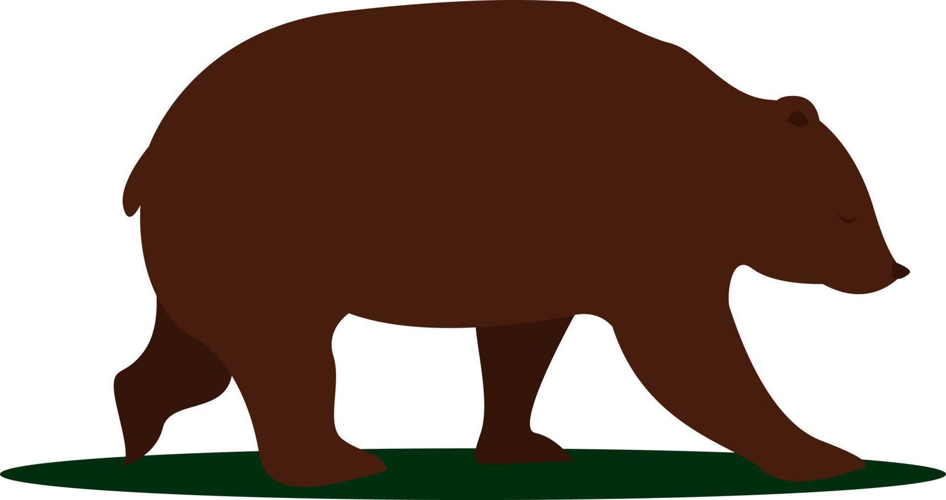 groot beer, illustratie, vector Aan wit achtergrond.