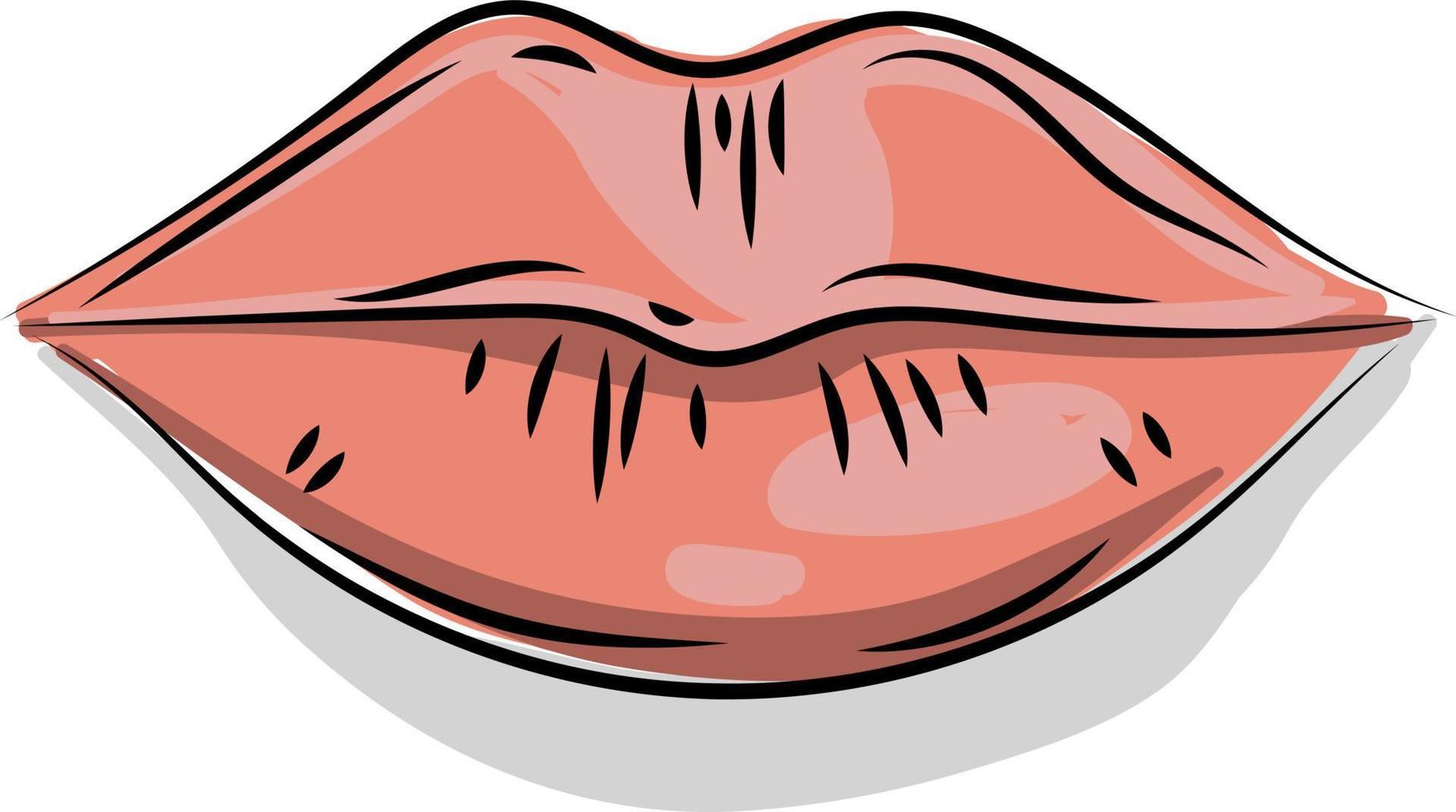 rood lippen, illustratie, vector Aan wit achtergrond.