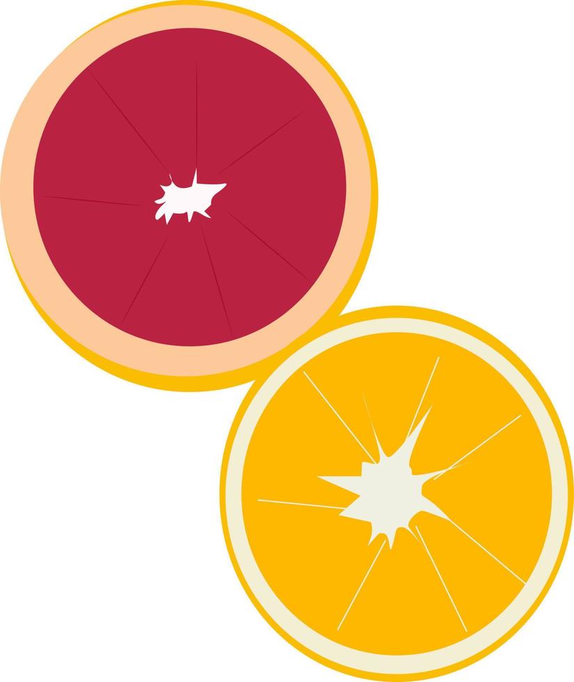 oranje en pompelmoes, illustratie, vector Aan wit achtergrond.