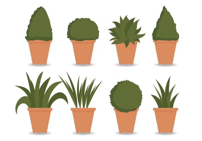 planter Vector