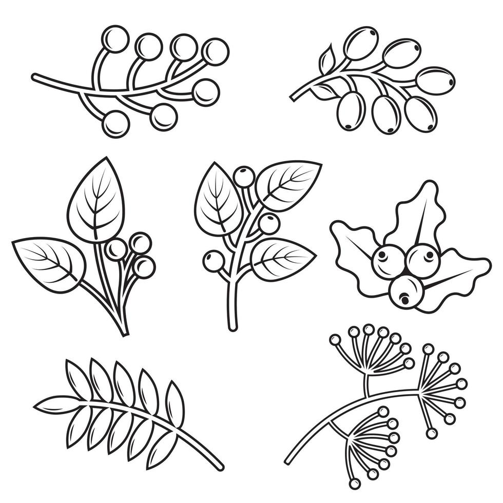 herfst planten tekening elementen. contour elementen van de fabriek in herfst. vector grafiek