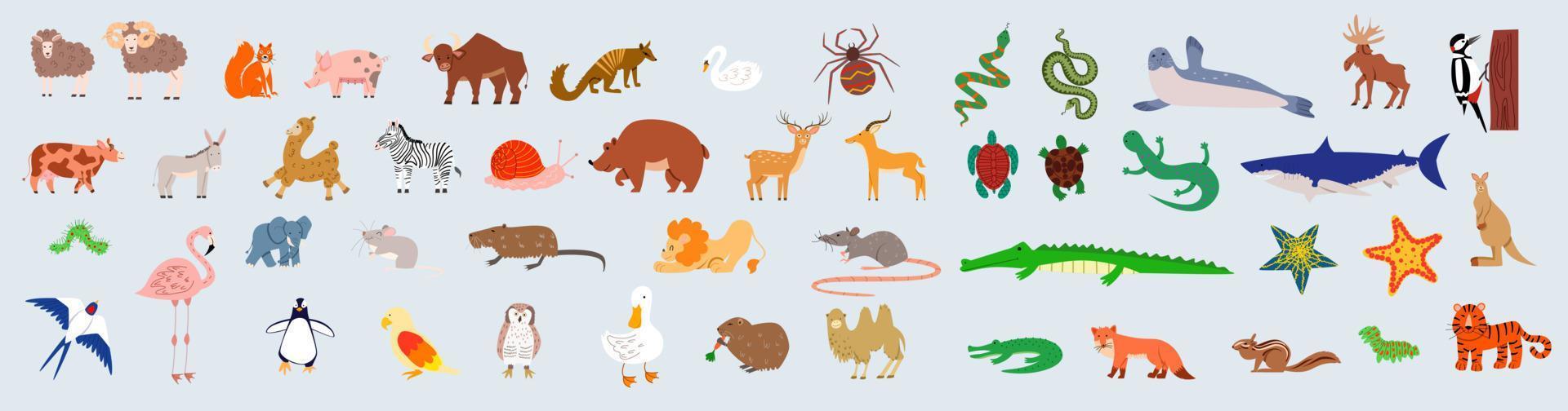 een groot reeks van wild oerwoud, savanne en Woud dieren, vogels, marinier zoogdieren, vis en insecten. vector