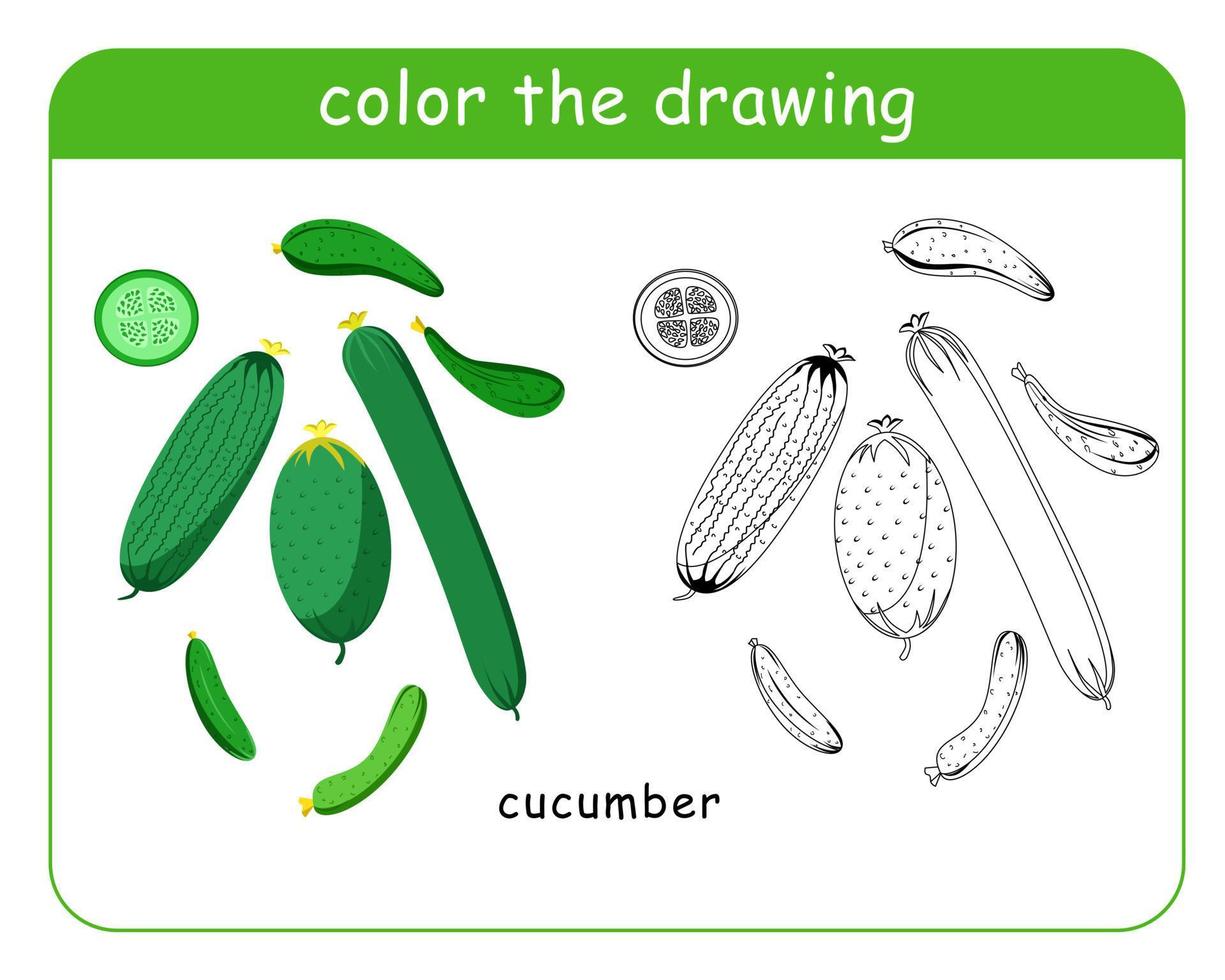 kleur boek voor kinderen. een reeks van groen komkommers in kleur en zwart en wit. vector
