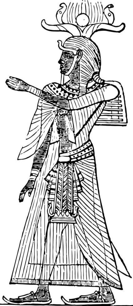 Egyptische koning, wijnoogst illustratie. vector