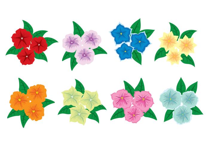 Petunia Flower Icons vector