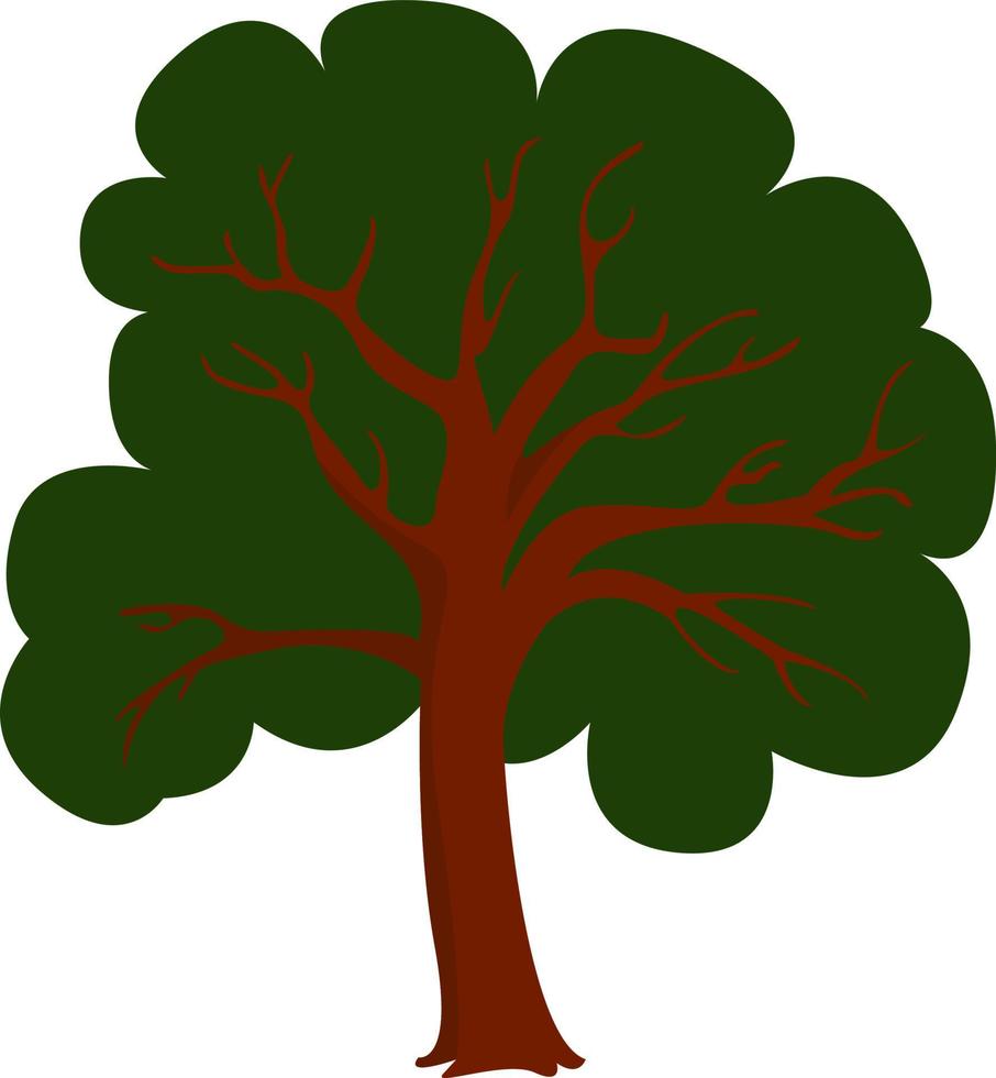 boom, illustratie, vector Aan wit achtergrond.
